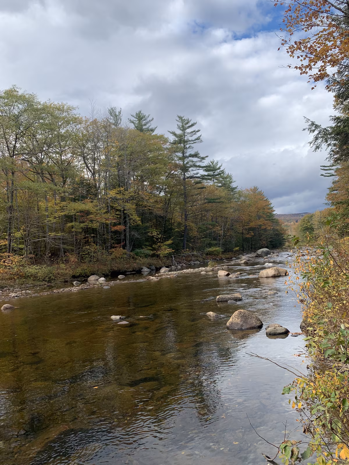 Saco River view